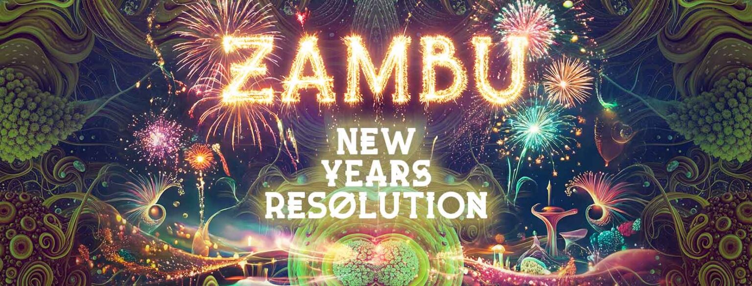 Zambu Rrss Zambu New Year Resolutions – ZNA Gathering